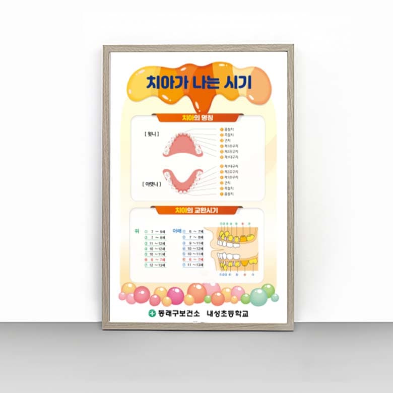 [I4-012] 치아가 나는 시기 판넬