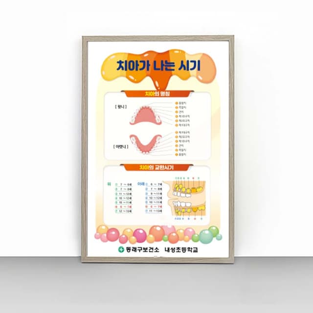 [I4-012] 치아가 나는 시기 판넬