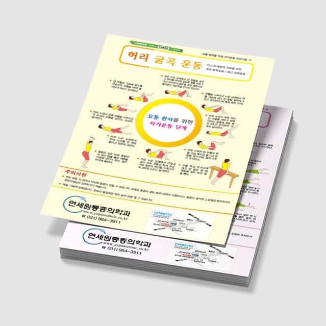 [Q3-021] 허리 굴곡/신전 운동 전단