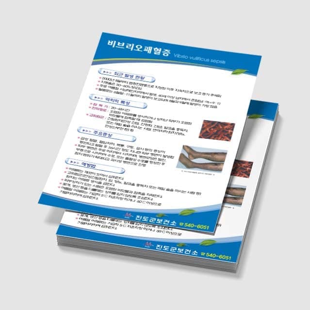 [H3-002] 비브리오패혈증 전단