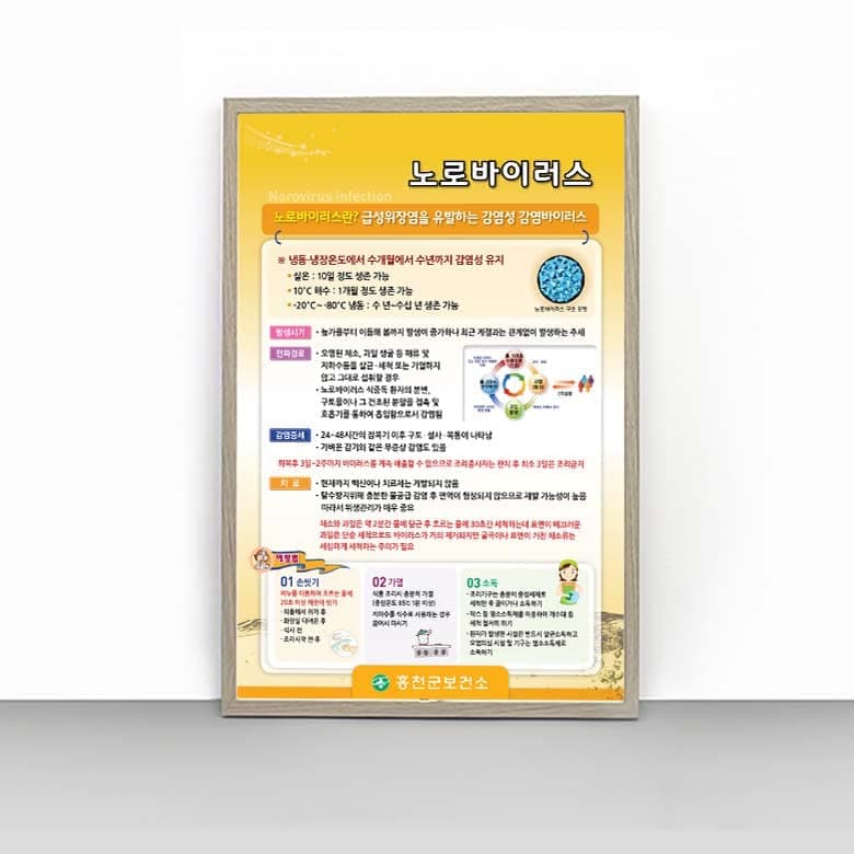 [H4-013] 노로바이러스 판넬