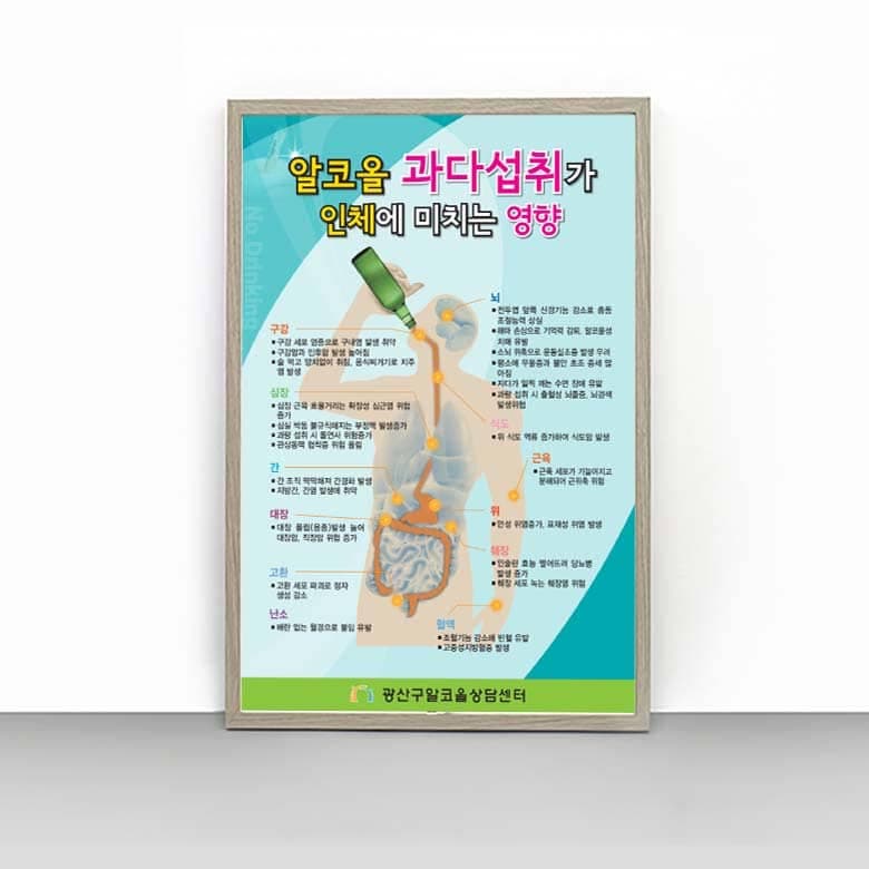 [B4-005] 알코올 과다섭취가 인체에 미치는 영향 판넬