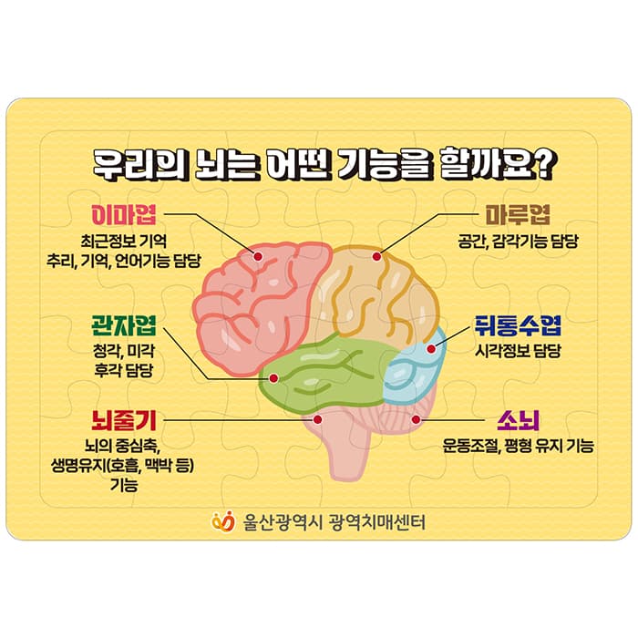 울산광역치매(결제창)