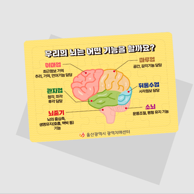 [P5-036] 뇌의 기능 퍼즐