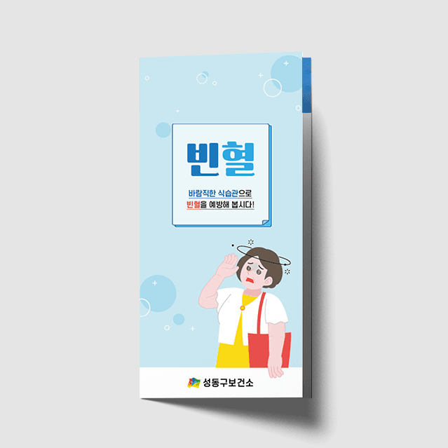 [C1-030] 빈혈 리플렛